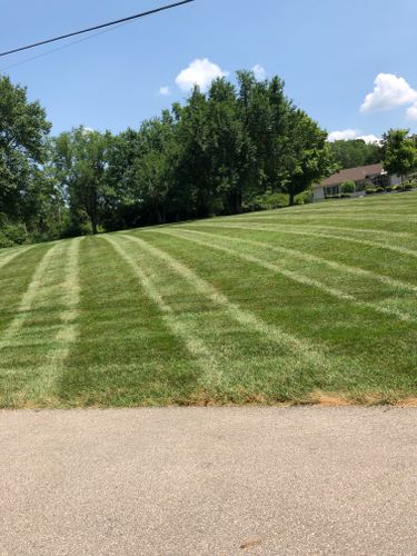 Residential Lawn Care for Norvell's Turf Management, Inc in Middletown, OH