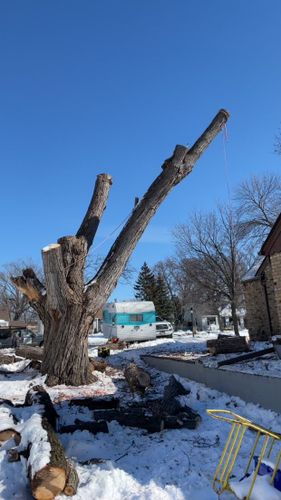 Tree Removal for K and Z Tree Care in Isanti County, MN