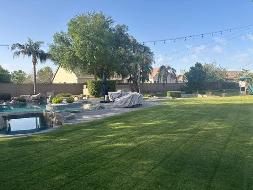 Mowing for Revolution Landscape Construction in Mesa, AZ