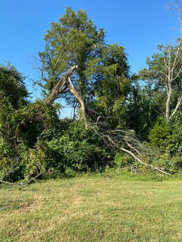 Fall and Spring Clean Up for Atwood’s Tree Care in Liberty,  KY