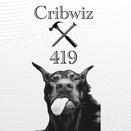  for Cribwiz 419 in Toledo, OH