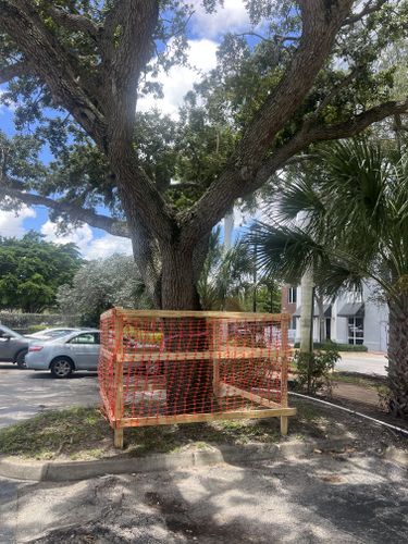 All Photos for Bridgewater Arbor Care LLC in Jupiter, FL