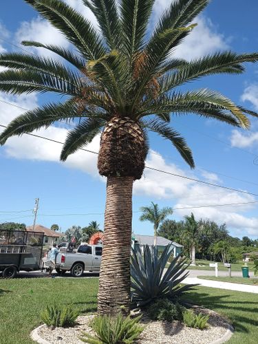 Flowerbed Installation and Maintenance for Unity Maintenance and More LLC in Englewood, FL