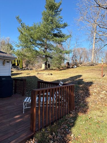 Fall Clean Up for Fransen's Tree Service  in Freeport, IL