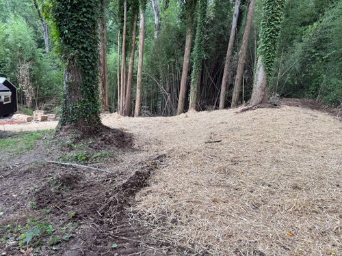  for T Crane Grading LLC in Clarkesville, GA