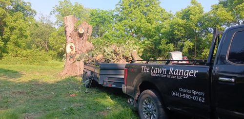  for Lawn Ranger Yard And Tree Service LLC in Ottumwa, IA