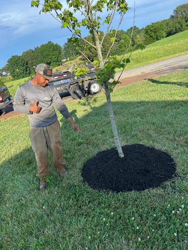 Mulch Installation for Optimum Tree Service And Landscaping in Bowling Green, KY