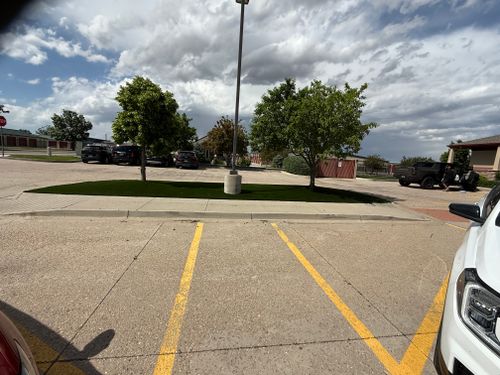 Artificial Turf Installation for Forever Green Turf Pros in Greeley, CO