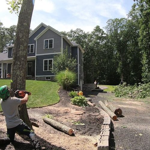 Tree Removal for Redemption Tree & Landscape LLC  in Oakham, MA