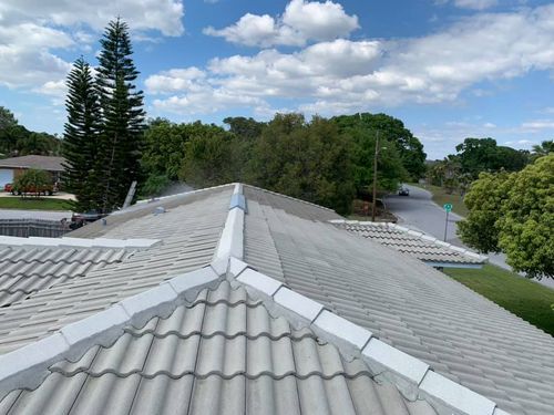  Roof & Gutter Cleaning for Chile Can LLC  in Pasco County , Fl