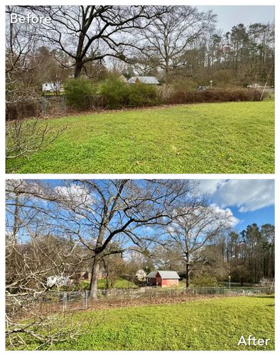 Small - Medium Tree Removal and Trimming for Fayette Property Solutions in Fayetteville, GA