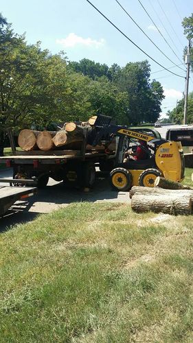  for Professional Tree Service USA in Chattanooga, TN