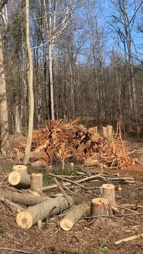 Stump Removal for A.P Land Management in Atlanta, Ga