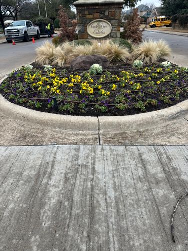 Seasonal color changes for Guerrero's Landscape in Fort Worth,  TX