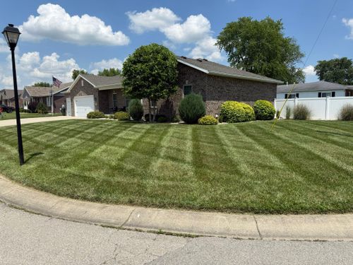 Shrub Trimming for Davidson Lawn Care LLC in Greensburg, IN