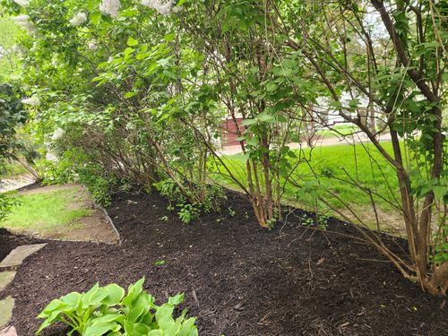 Mulch Installation for K & I Lawn Care Service  in Eden Prarie, MN