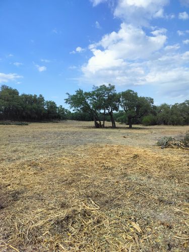  for 512 Land Clearing in Blanco County, TX