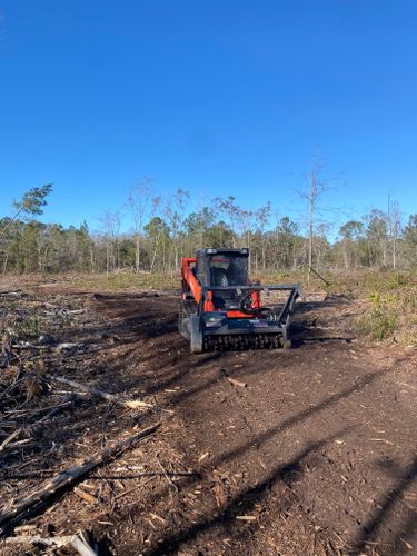 Forestry Mulching for T&S Land Management Services in Effingham County, GA