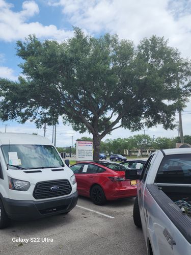 All Photos for Highlife Tree Care And Landscaping in Altamonte Springs, FL