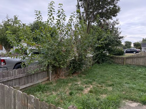  for Bearforce Lawn Care LLC in Greenfield, IN