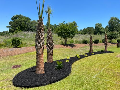 All Photos for New Creation Landscaping in Myrtle Beach, SC