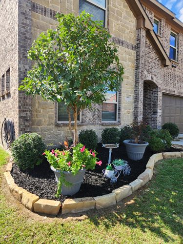 All Photos for Lavon Lawn Plus in Lavon, TX