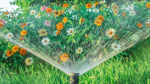 Irrigation Design Services for RSI Sprinklers & Drainage  in Southwest Houston, TX