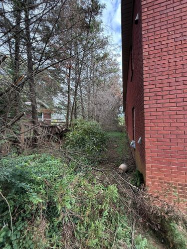 Tree Trimming & Removal for Mud Creek Vegetation Management in Russellville, AL