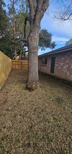  for Servin's Tree Care  in Houston, TX