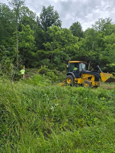 All Photos for Carpenter's Tree Service in Aurora, IN