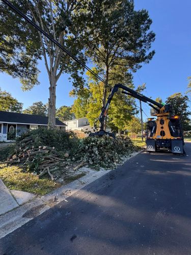 Tree Removal for Cowboys TREE Company in Chesapeake, VA