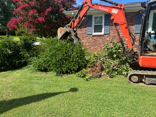 Land Managment for Rescue Grading & Landscaping in Marietta, SC