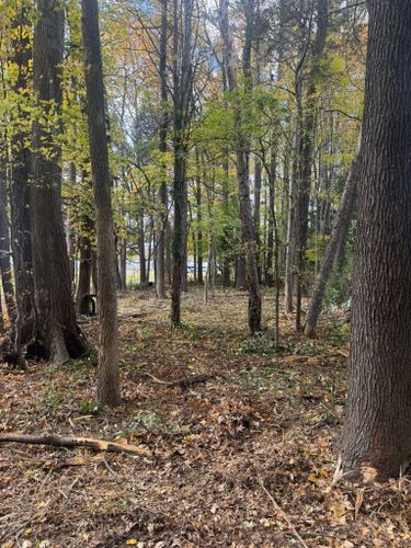  for Southern Turf & Landscape in Concord, NC