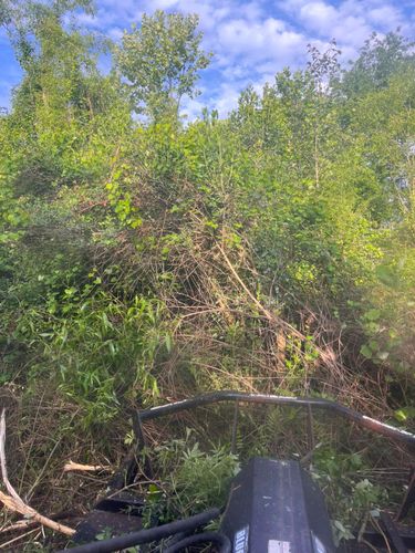 Stump Grinding and Removal for Pinewood Land Management LLC in Nashville, GA