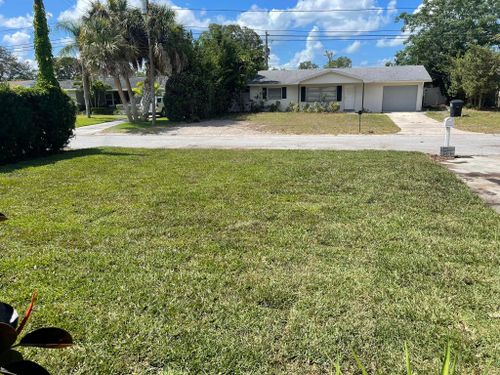 Grading and Leveling for Team Tolson Landscape in Tampa Bay, FL