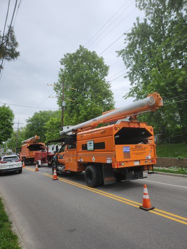 All Photos for Carpenter's Tree Service in Aurora, IN