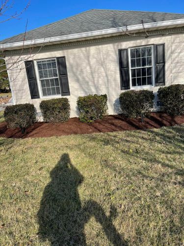 Shrub Trimming for Indian River Lawns and Landscapes in Frankford, DE