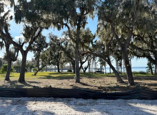 Tree Removal for A-1 Arbor Tech in Groveland, FL