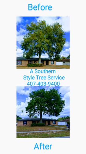 All Photos for A Southern Style Tree Service in Orlando, FL