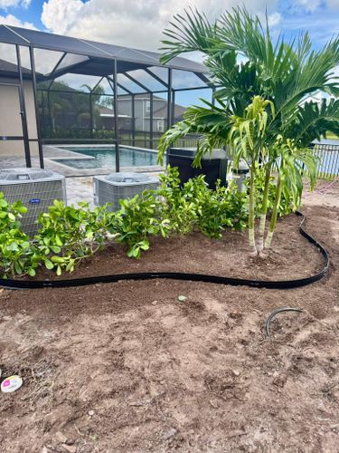 Landscaping for Shoreside Property Services in Apollo Beach, FL