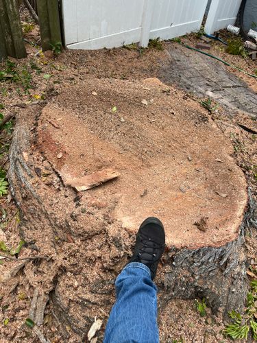  for KB’s Stump Removal in Seminole, FL
