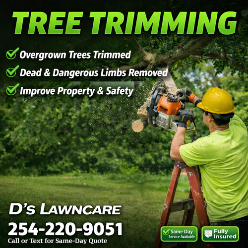  for D’s Lawncare in Killeen, TX