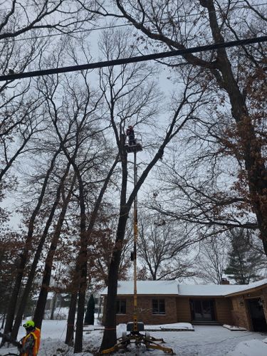 Tree Trimming for K and Z Tree Care in Isanti County, MN