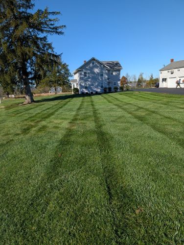Property Maintenance for Ettere Landscape Services in Flemington, NJ