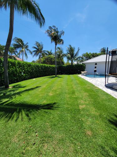 Lawn Care for L & J Palm Tree & Lawn Care Services in Jupiter, FL