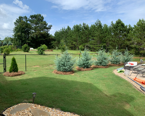 Lawn for Pinnacle Property Maintenance LLC in McDonough, GA