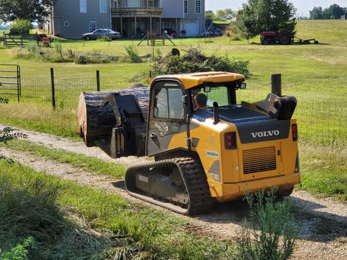 Tree & Debris Removal for Jason Scott Grading & Clearing in Williamson, GA