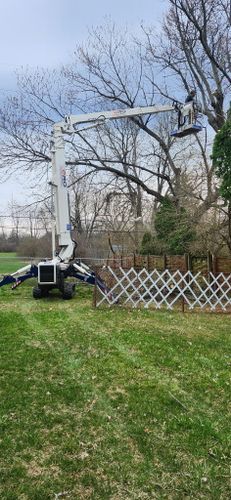 All Photos for Pro Tree Trim & Removal, Llc in Dayton, OH