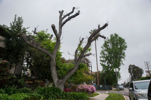  for Hammons Construction LLC in Eugene, OR