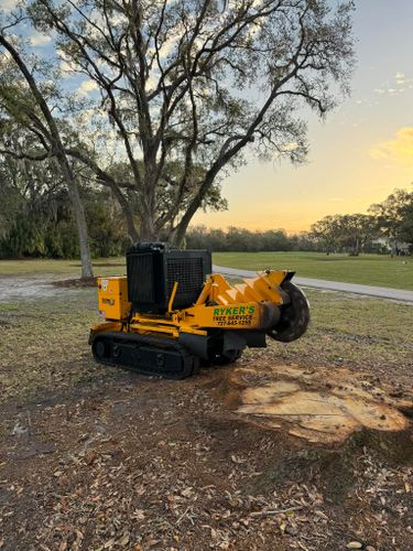 Stump Removal for Ryker's Tree Service in Dunedin, FL